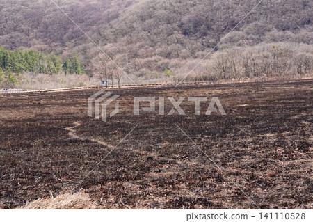 Scorched earth Scorched earth 141110828