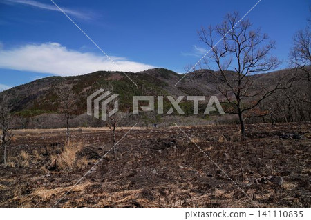 Burned land Burned land 141110835