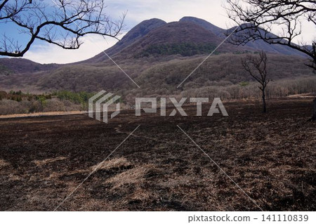 Burned land Burned land 141110839