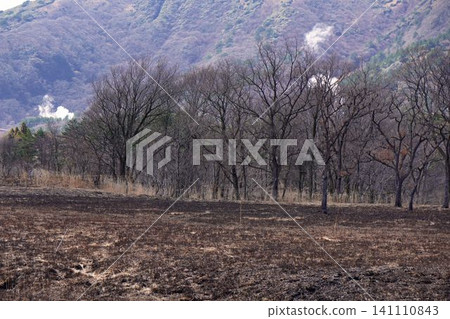 Burned land 141110843