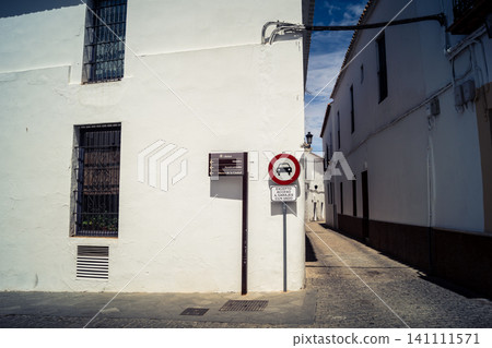Traditional white-washed narrow streets and historical Andalusian architecture in Carmona Traditional white-washed narrow streets and historical Andalusian architecture in Carmona 141111571
