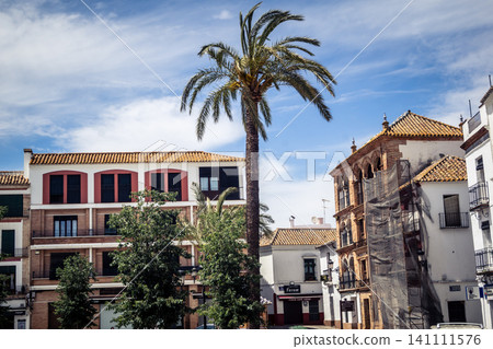 Traditional white-washed narrow streets and historical Andalusian architecture in Carmona Traditional white-washed narrow streets and historical Andalusian architecture in Carmona 141111576