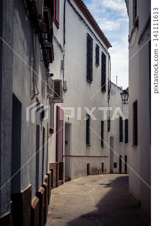 Traditional white-washed narrow streets and historical Andalusian architecture in Carmona Traditional white-washed narrow streets and historical Andalusian architecture in Carmona 141111613
