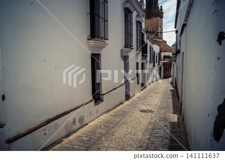 Traditional white-washed narrow streets and historical Andalusian architecture in Carmona Traditional white-washed narrow streets and historical Andalusian architecture in Carmona 141111637