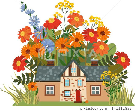 Cozy beige house surrounded by autumn flowers vector illustration Cozy beige house surrounded by autumn flowers vector illustration 141111855