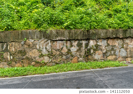 Stone retaining wall with green plants on top 141112050