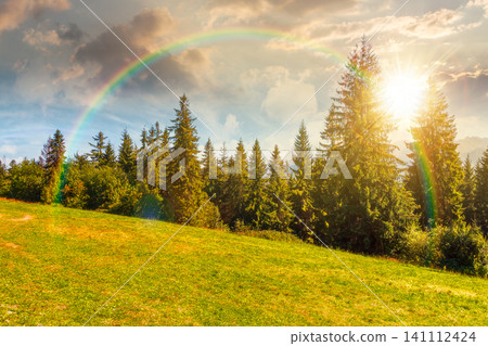 sunset over landscape with coniferous forest in summer. scenic view of mountain landscape in poland. spruce trees on a grassy alpine meadow. cloudy sky above the ridge. weather with rainbow sunset over landscape with coniferous forest in summer. scenic view of mountain landscape in poland. spruce trees on a grassy alpine meadow. cloudy sky above the ridge. weather with rainbow 141112424