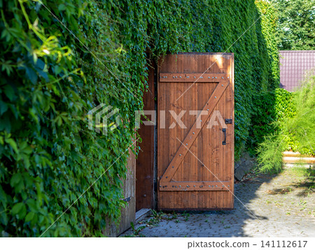 Wooden garden gate partially open in ivy-covered wall revealing sunlit cobblestone path Wooden garden gate partially open in ivy-covered wall revealing sunlit cobblestone path 141112617