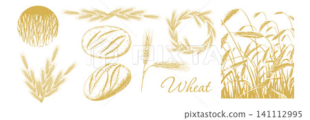 Graphic silhouettes of grain ears . Wheat and Bread Hand drawn. Not AI, vector illustration. Graphic silhouettes of grain ears . Wheat and Bread Hand drawn. Not AI, vector illustration. 141112995