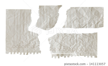 Crumpled torn lined paper scraps and ripped notebook checklist pieces set isolated on white background 141113057