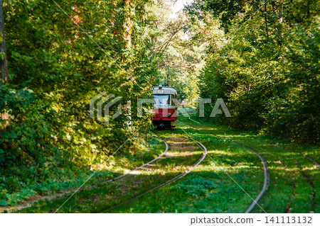 Tram and tram rails in colorful forest Tram and tram rails in colorful forest 141113132