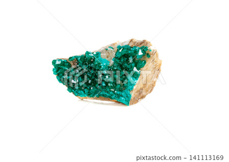 Macro mineral stone Dioptase silicate copper on a white background Macro mineral stone Dioptase silicate copper on a white background 141113169