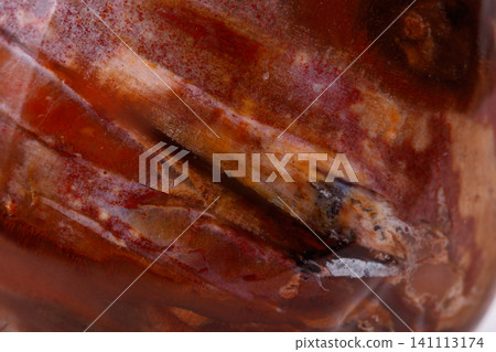 Macro mineral stone ground petrified tree on white background Macro mineral stone ground petrified tree on white background 141113174