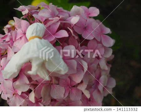Image of rainy season Image of rainy season 141113332