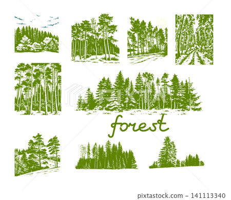Forest set silhouette. Hand drawn. Not AI, vector illustration. 141113340