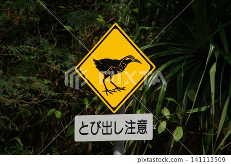 Yanbaru (Okinawa) Rail - Warning Sign - Rare Bird of Okinawa Yanbaru (Okinawa) Rail - Warning Sign - Rare Bird of Okinawa 141113509