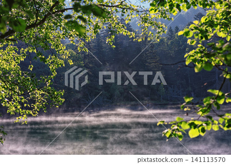 Fog on the lake surface Fog on the lake surface 141113570