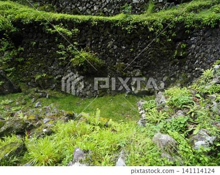 Mossy stone wall Mossy stone wall 141114124