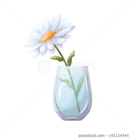 A vector image of a white flower in a glass vase A vector image of a white flower in a glass vase 141114345
