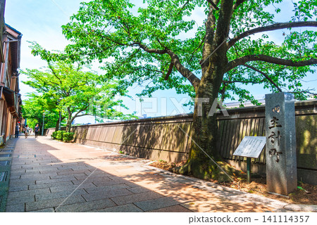 Kanazawa in Spring: Kazue-machi Teahouse District Kanazawa in Spring: Kazue-machi Teahouse District 141114357