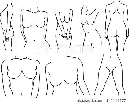 女性身體插圖 141114577