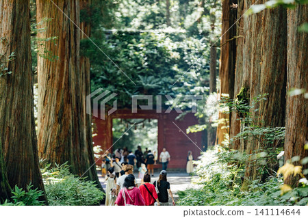 [長野市戶隱] 戶隱神社內殿：瑞神門與杉樹大道的景色，以及遊客。 141114644