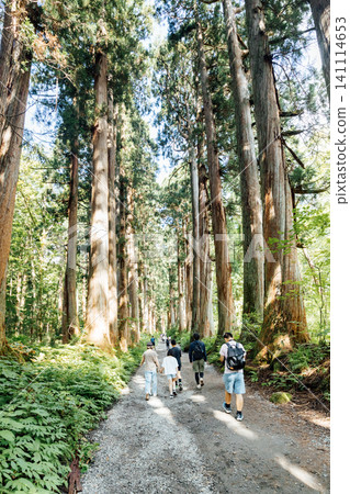 [Togakushi, Nagano City] Togakushi Shrine Inner Sanctuary: Scenery of the cedar-lined approach and tourists 141114653