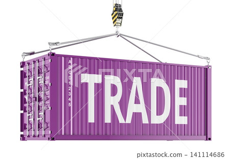 Trade shipping container lifted by crane cables. 3D rendering Trade shipping container lifted by crane cables. 3D rendering 141114686