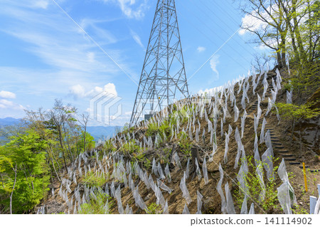 Deer-proofing nets for planting saplings lined up on the mountain slopes. Deer-proofing nets for planting saplings lined up on the mountain slopes. 141114902