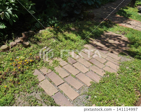 A garden made with bricks and creeping thyme A garden made with bricks and creeping thyme 141114997