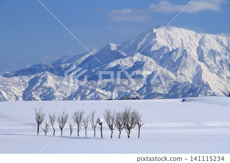 Ojiya Ikegahara Yukihara的Hashigi,Echigo Miyama雪景 Ojiya Ikegahara Yukihara的Hashigi,Echigo Miyama雪景 141115234