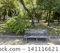 藍天下,綠樹環繞,公園長椅靜靜佇立。 藍天下,綠樹環繞,公園長椅靜靜佇立。 141116621