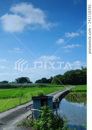 有稻田路的風景 有稻田路的風景 141118391