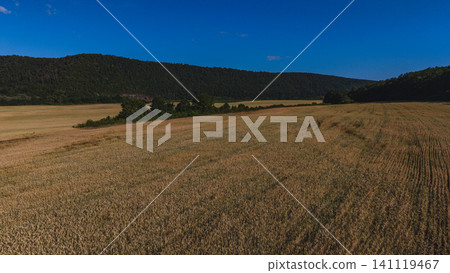 Stunning view of Dniester river canyon and surrounding fields in Ukraine Stunning view of Dniester river canyon and surrounding fields in Ukraine 141119467