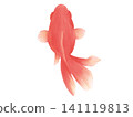 Simple and cute goldfish in watercolor style 141119813
