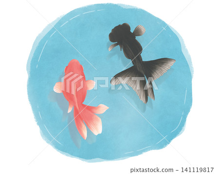 水彩畫金魚的插圖 水彩畫金魚的插圖 141119817