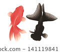 A set of watercolor illustrations of goldfish in black and red. 141119841