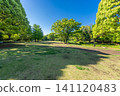 Scenery of Kitanomaru Park 141120483