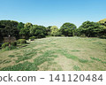 Scenery of Kitanomaru Park 141120484