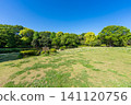 Scenery of Kitanomaru Park 141120756
