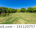 Scenery of Kitanomaru Park 141120757