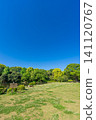 [Vertical Photo] Scenery of Kitanomaru Park 141120767