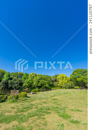 [Vertical Photo] Scenery of Kitanomaru Park 141120767