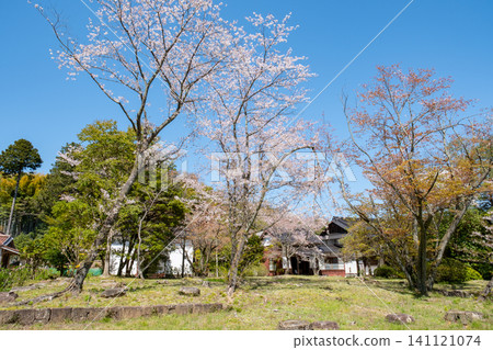 月勝寺：原正殿遺址及櫻花，島根縣松江市中原町 141121074