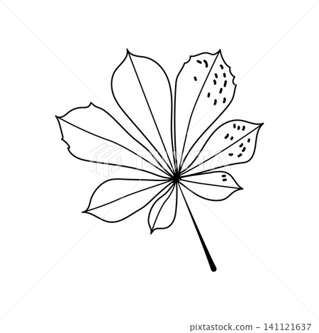 Chestnut leaf vector hand drawn line art outline graphic isolated on white background Chestnut leaf vector hand drawn line art outline graphic isolated on white background 141121637