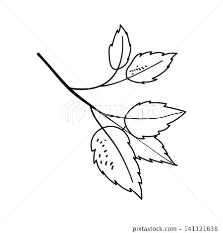 Tree branch with leaves vector hand drawn line art outline isolated on white background Tree branch with leaves vector hand drawn line art outline isolated on white background 141121638