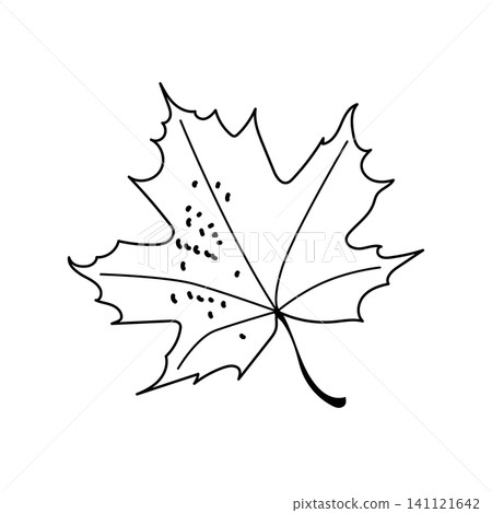 Maple leaf vector hand drawn line art outline graphic element isolated on white background 141121642