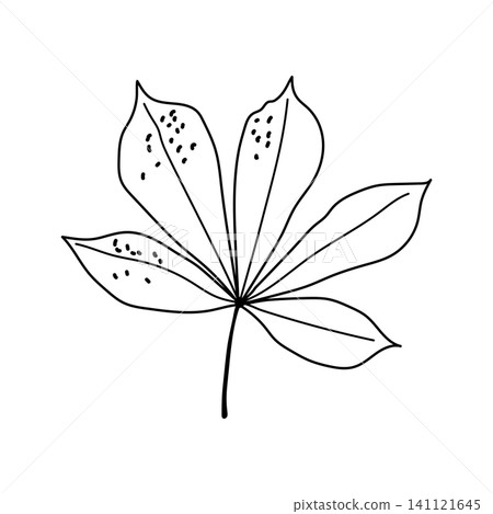 Autumn chestnut leaf vector hand drawn line art outline graphic isolated on white background Autumn chestnut leaf vector hand drawn line art outline graphic isolated on white background 141121645