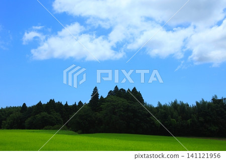 新鮮藍天下的鄉村風景 新鮮藍天下的鄉村風景 141121956