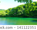 Dokko Swamp, Zao, Fresh Greenery 141122351